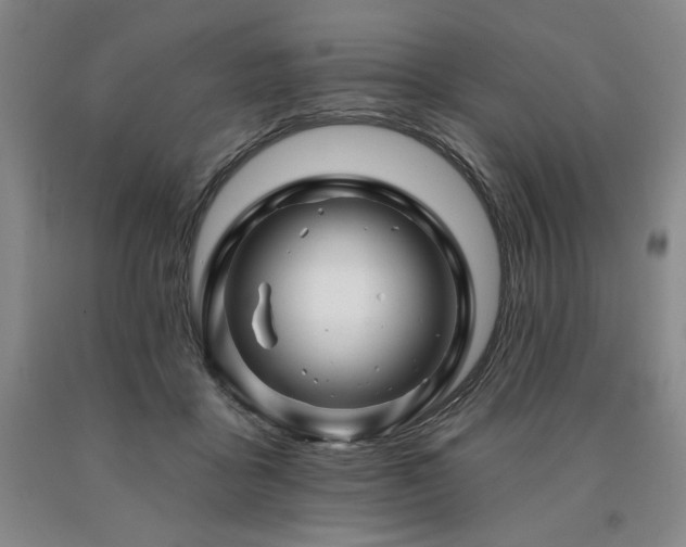X0000090930411200707301559