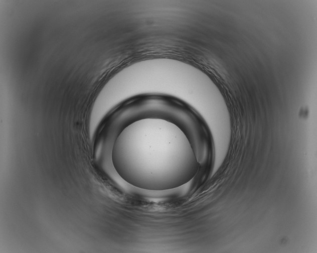 X0000090930412200707301559