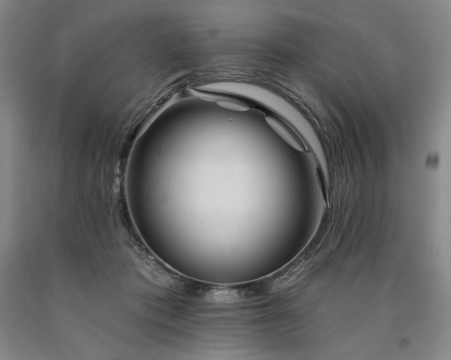X0000090930413200707301559