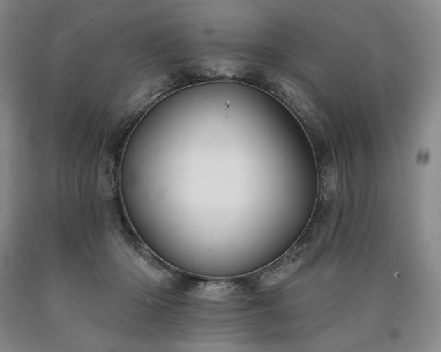 X0000090930414200707301559