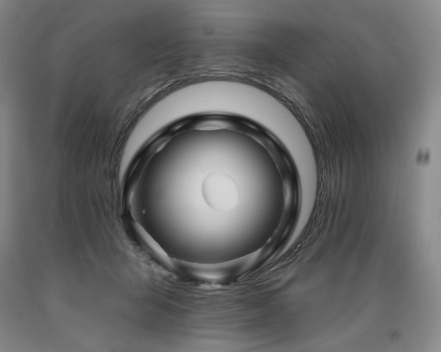 X0000090930415200707301559