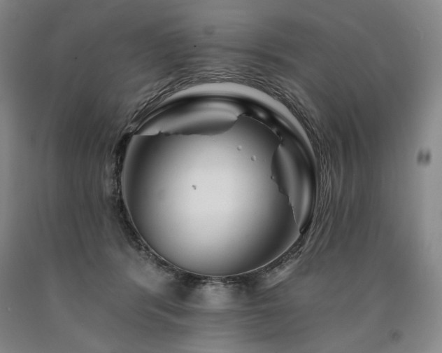 X0000090930416200707301559