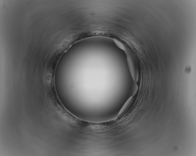 X0000090930417200707301559