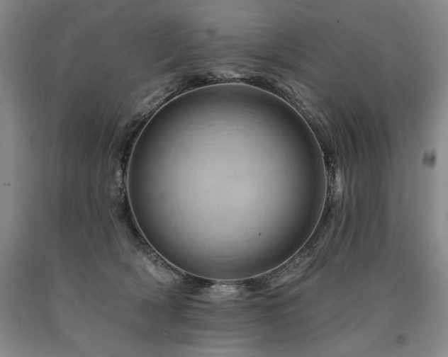 X0000090930418200707301559