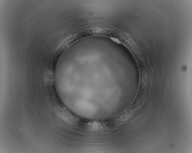 X0000090930419200707301559