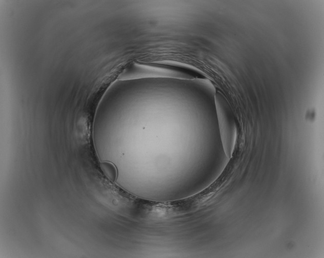 X0000090930420200707301559