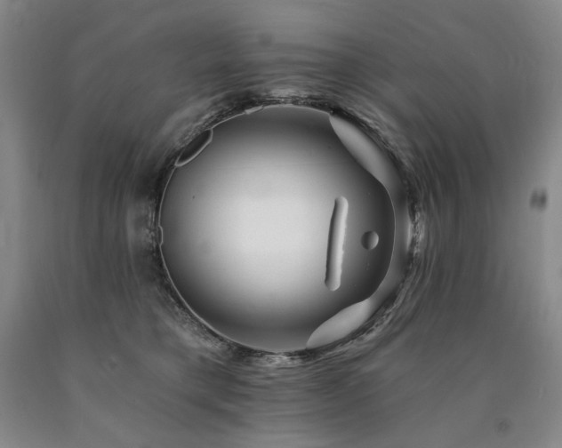 X0000090930421200707301559