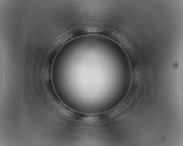 X0000090930422200707301559