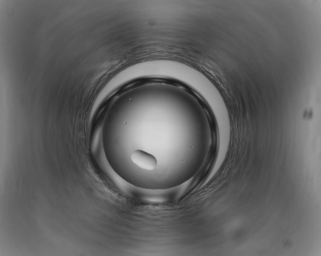 X0000090930423200707301559