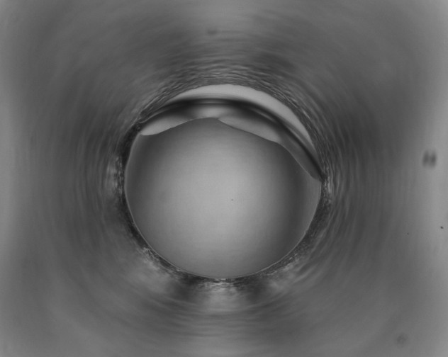 X0000090930424200707301559