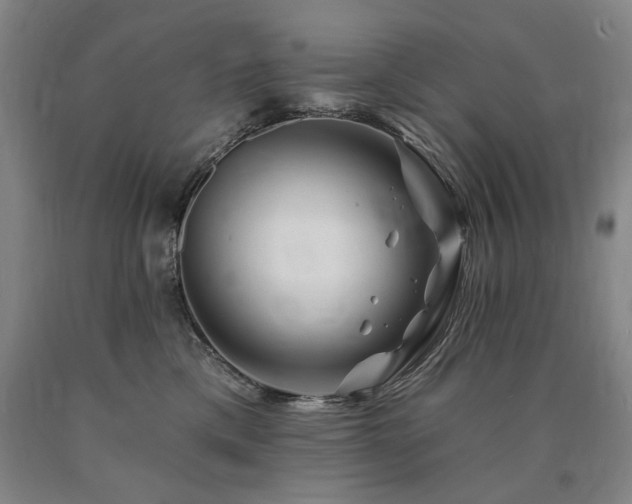 X0000090930425200707301559