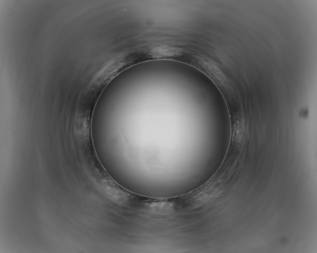 X0000090930426200707301559