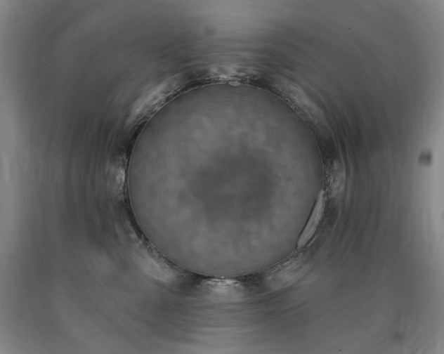 X0000090930427200707301559