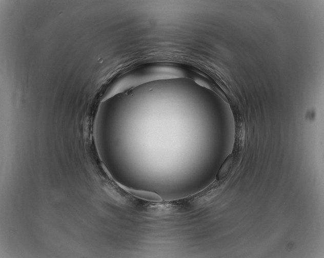 X0000090930428200707301559