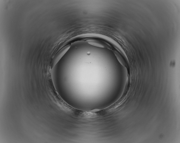 X0000090930429200707301559