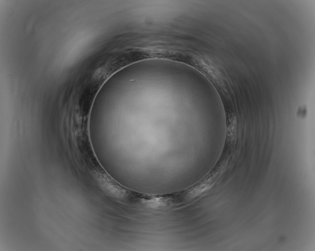 X0000090930430200707301559
