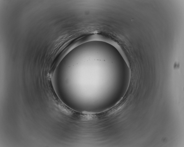 X0000090930432200707301559