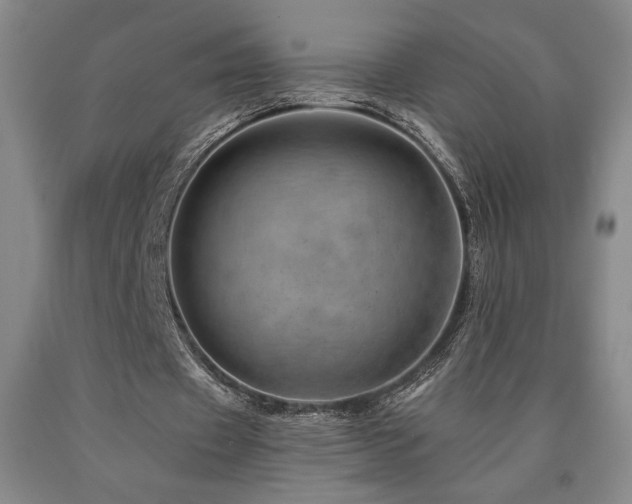 X0000090930433200707301558