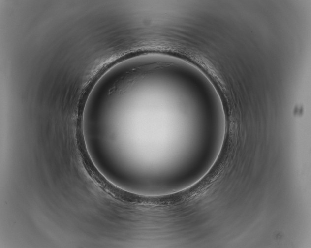 X0000090930434200707301558
