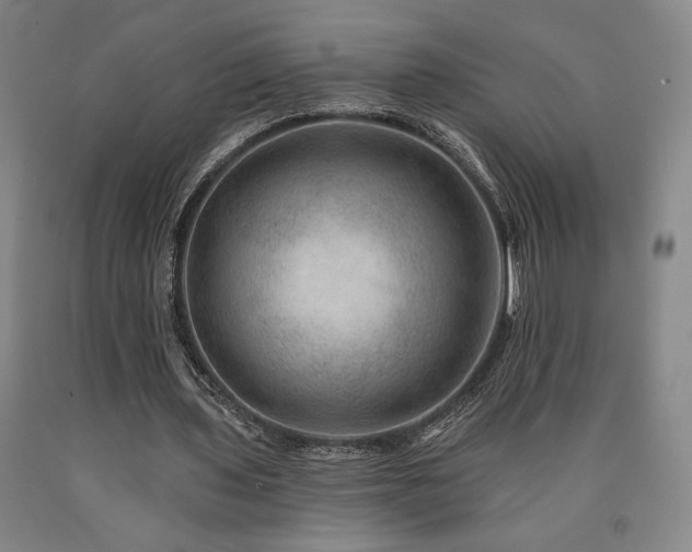 X0000090930435200707301558