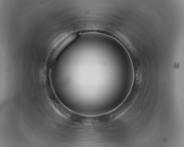 X0000090930436200707301558