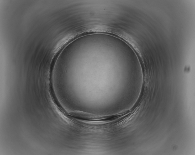 X0000090930437200707301558