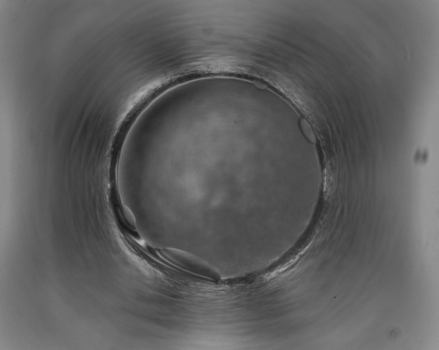 X0000090930438200707301558
