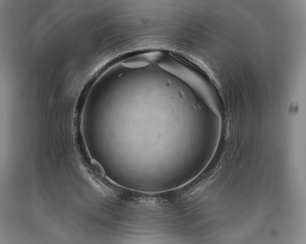 X0000090930439200707301558