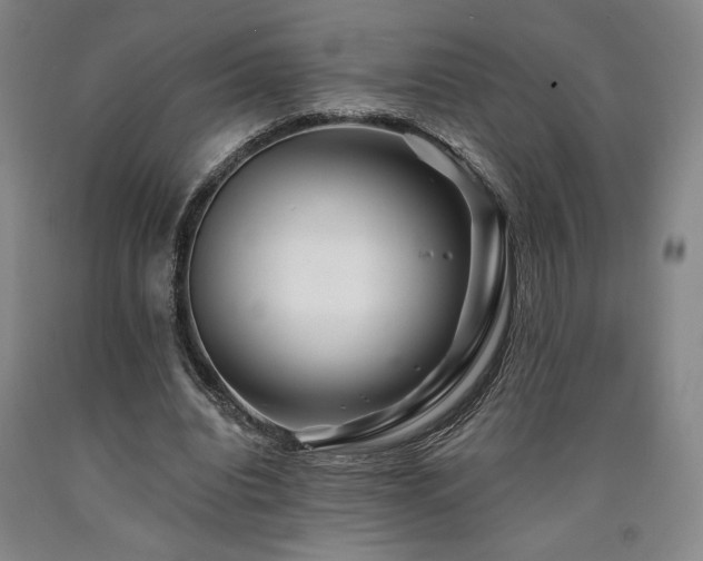 X0000090930440200707301559