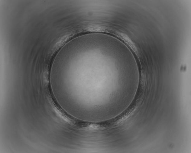 X0000090930441200707301559