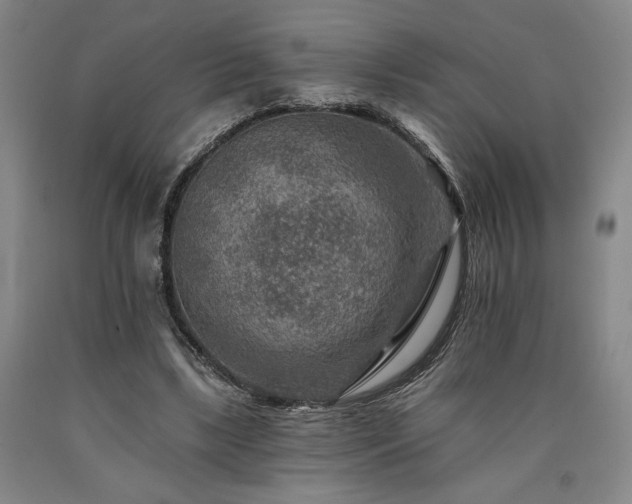 X0000090930443200707301559
