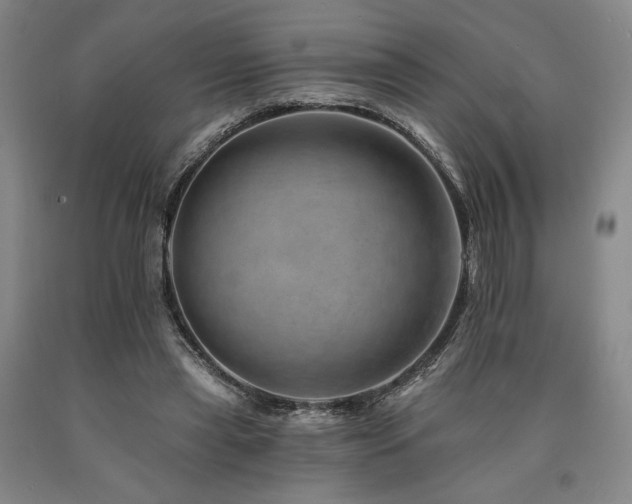 X0000090930445200707301559