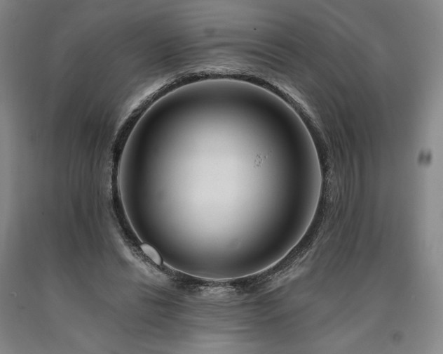 X0000090930446200707301559