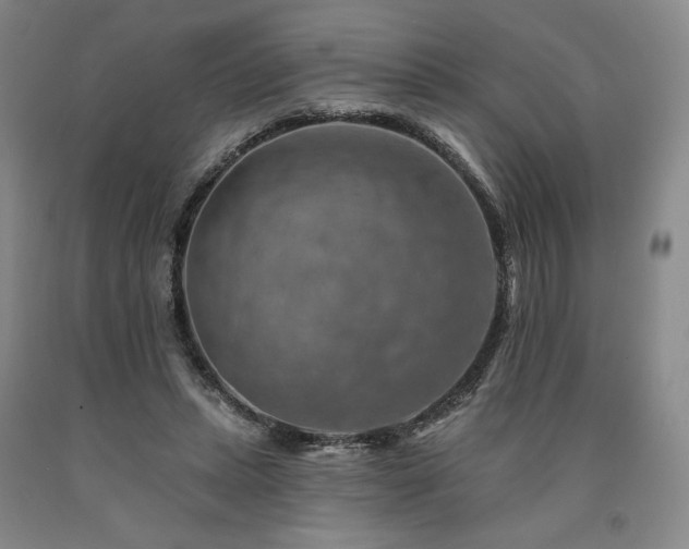 X0000090930447200707301559