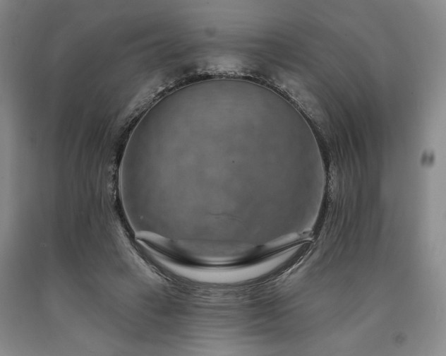X0000090930449200707301559