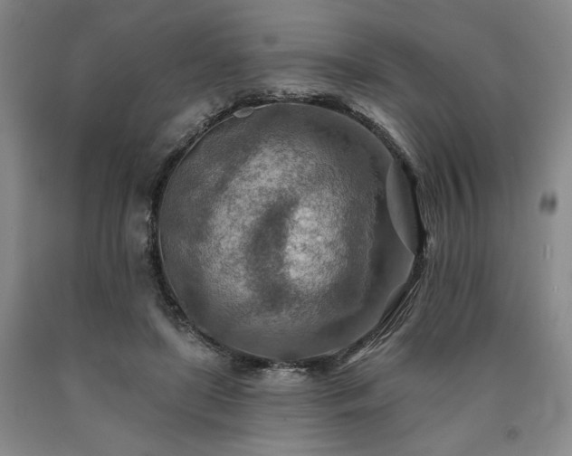 X0000090930451200707301559
