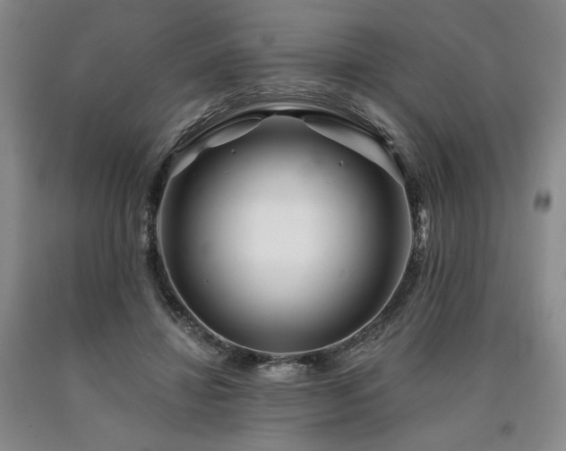 X0000090930452200707301559