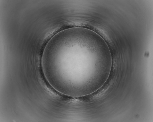 X0000090930453200707301559
