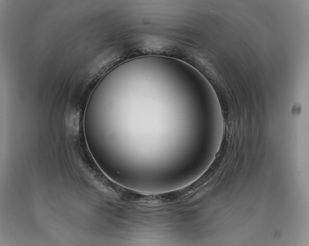 X0000090930454200707301559