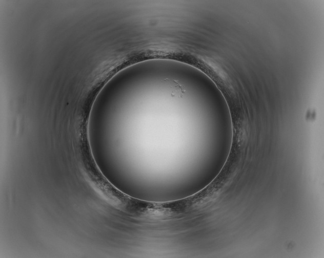 X0000090930455200707301559