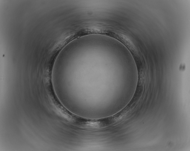 X0000090930457200707301559