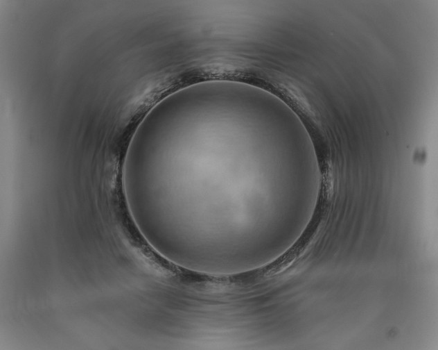 X0000090930458200707301559