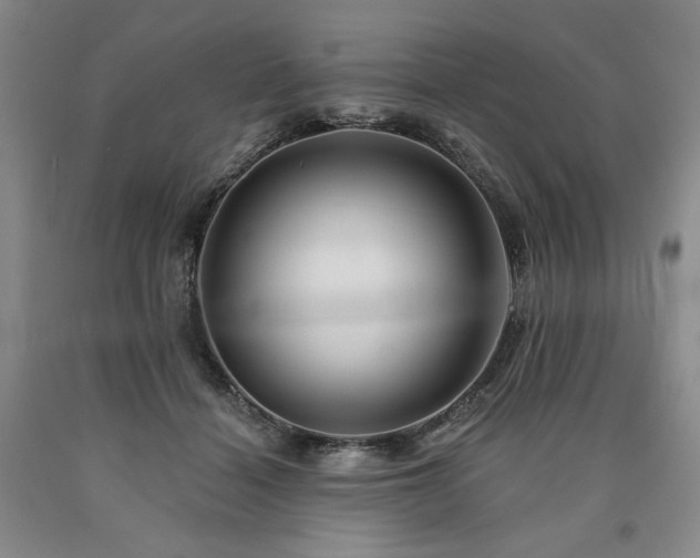 X0000090930460200707301559