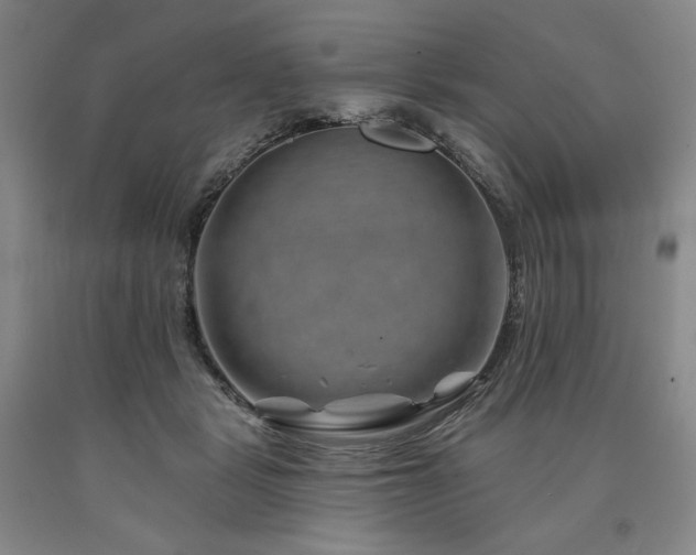 X0000090930461200707301559