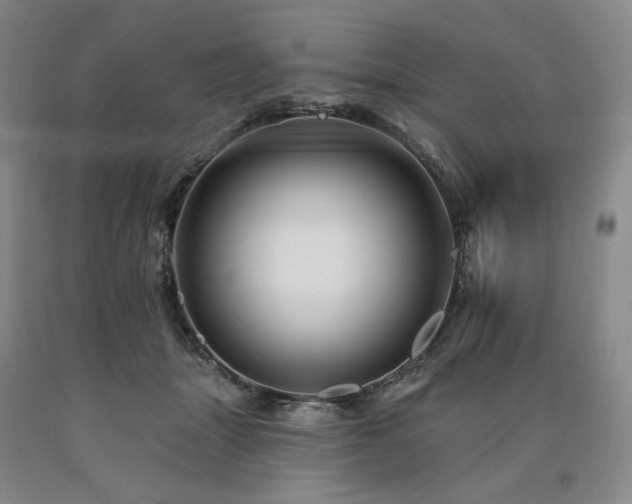 X0000090930463200707301559