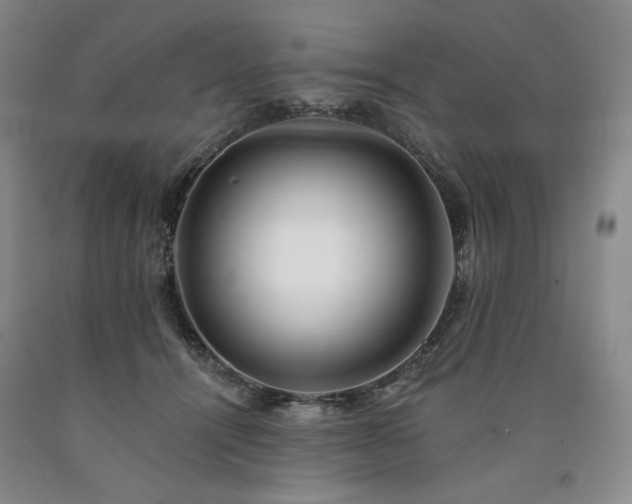 X0000090930464200707301559