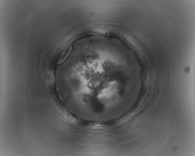 X0000090930467200707301559