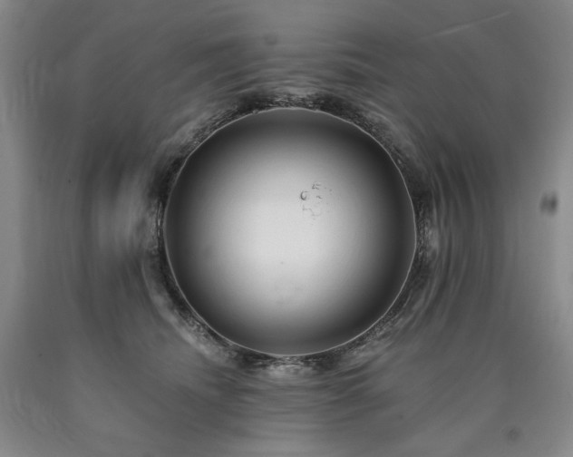 X0000090930468200707301559