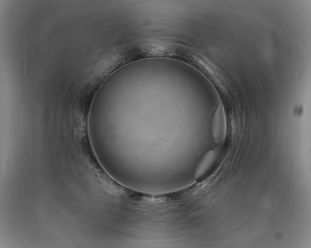 X0000090930469200707301559