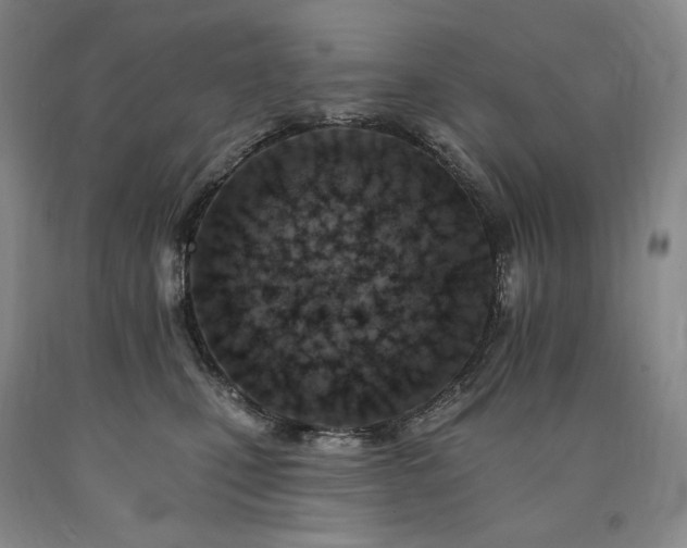 X0000090930471200707301559